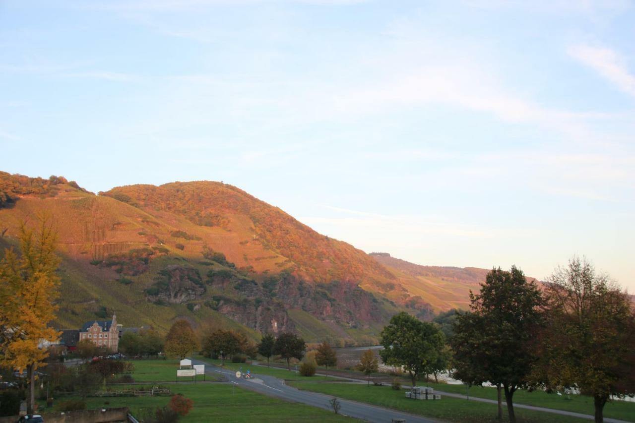 Mosel Ferienwohnung Ürzig Екстериор снимка